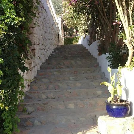 Lavender's Kalkan