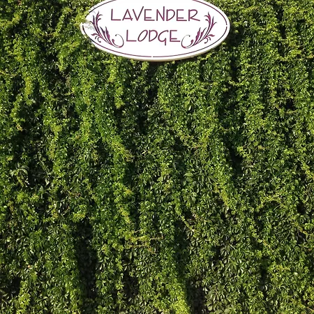 Lavender's 4* Kalkan